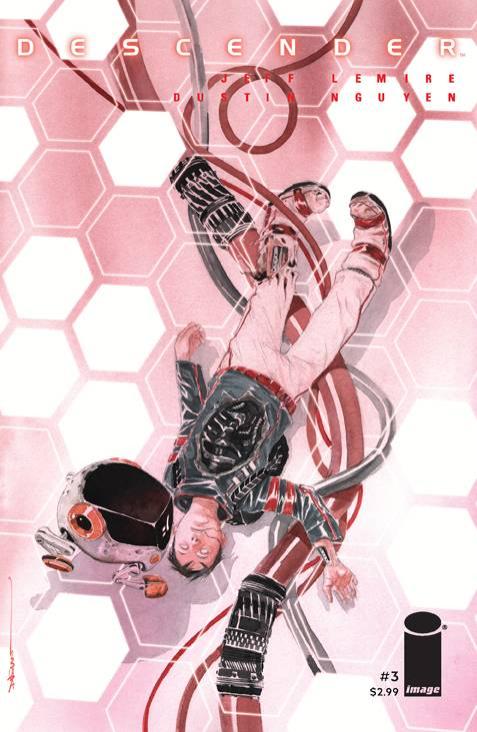 DESCENDER #3