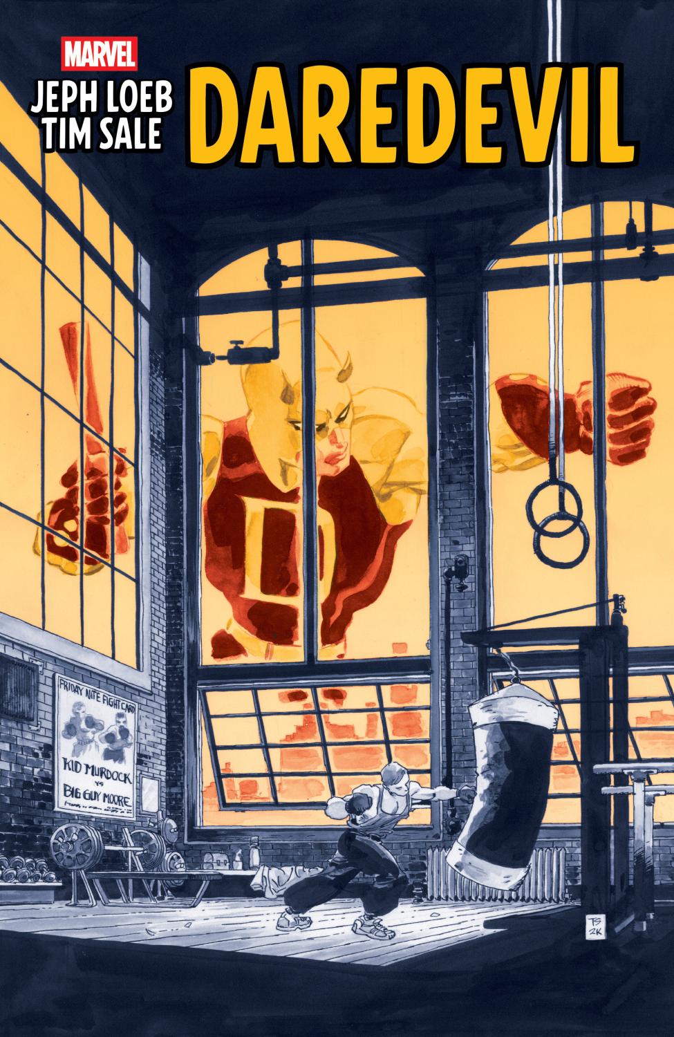 JEPH LOEB AND TIM SALE DAREDEVIL TP