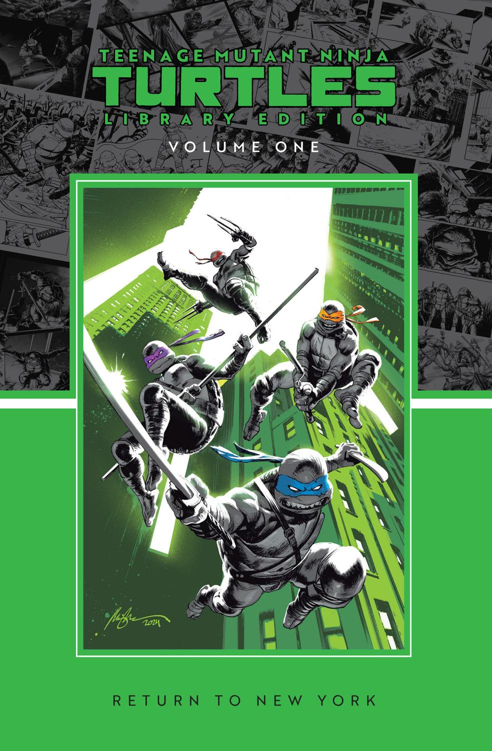 TEENAGE MUTANT NINJA TURTLES VOL 1 RETURN TO NEW YORK LIBRARY EDITION HC