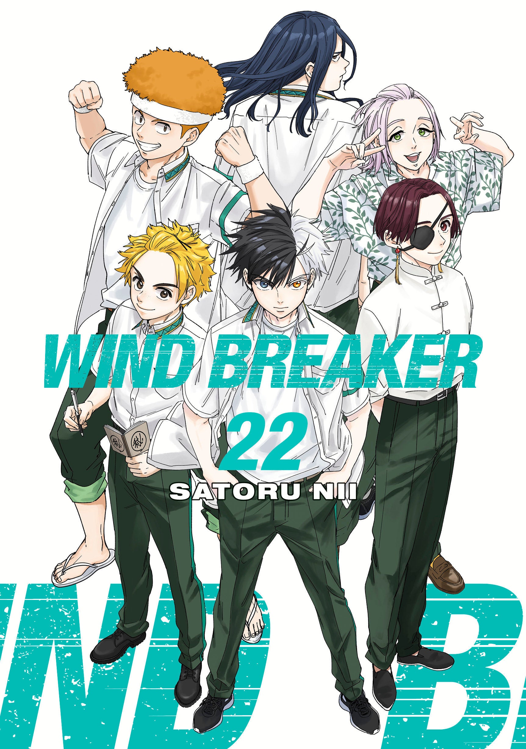 WIND BREAKER TP VOL 22