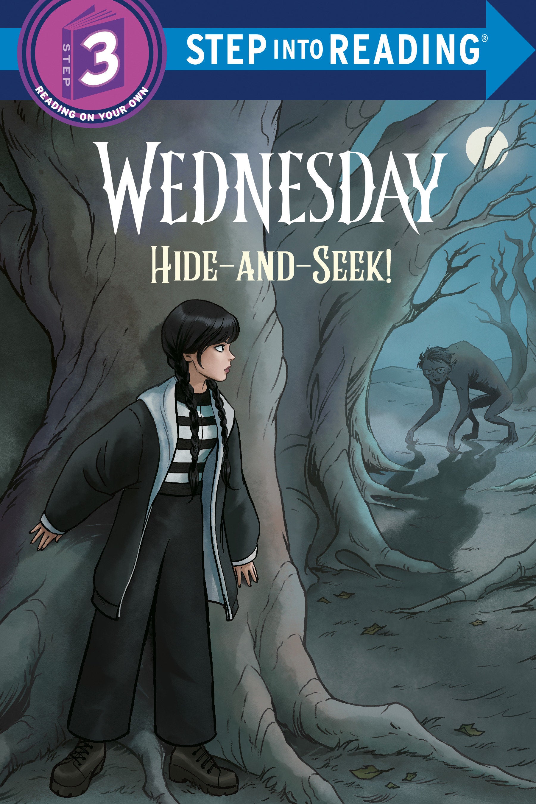 HIDE AND SEEK WEDNESDAY TP