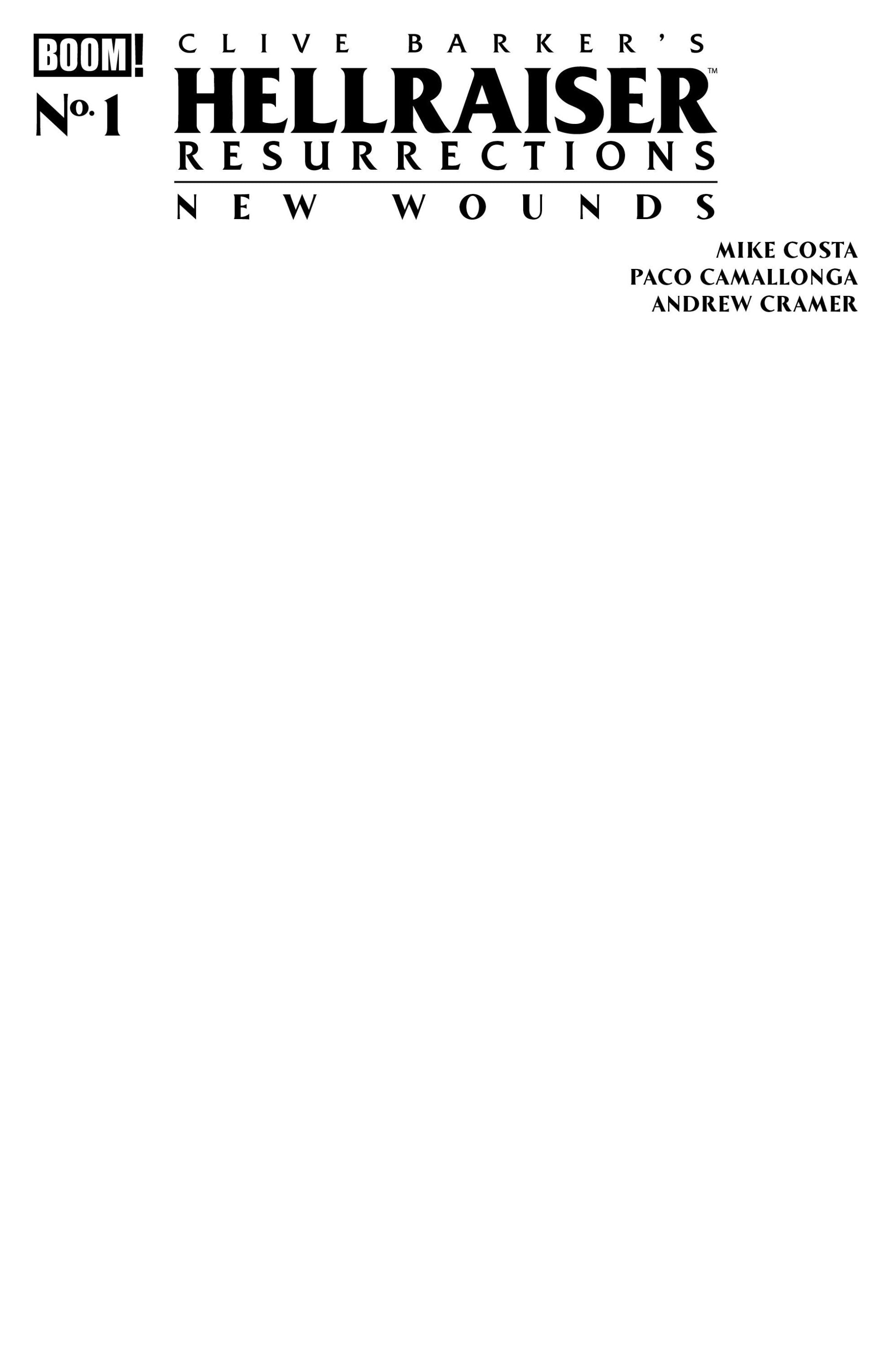 HELLRAISER RESURRECTIONS - NEW WOUNDS #1 C BLANK SKETCH VAR CVR C