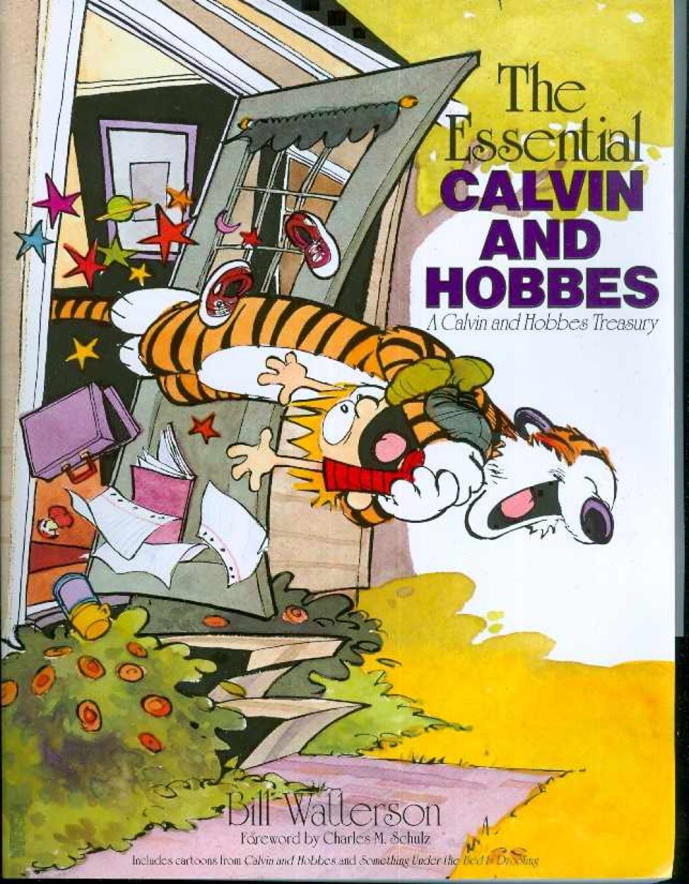 CALVIN & HOBBES ESSENTIAL NEW PTG