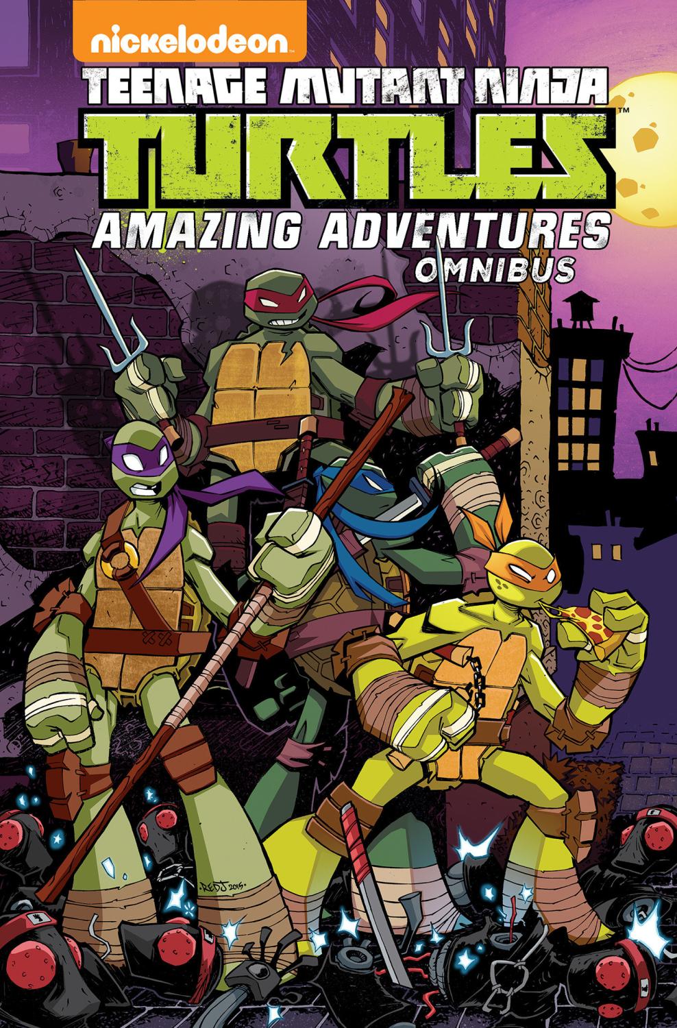 TEENAGE MUTANT NINJA TURTLES AMAZING ADVENTURES OMNIBUS TP