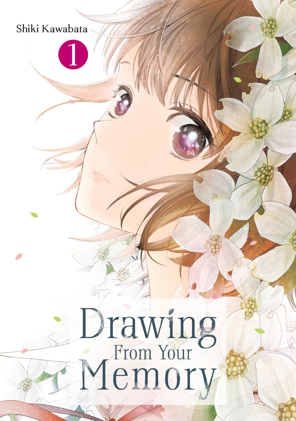 DRAWING FROM YOUR MEMORY TP VOL 01