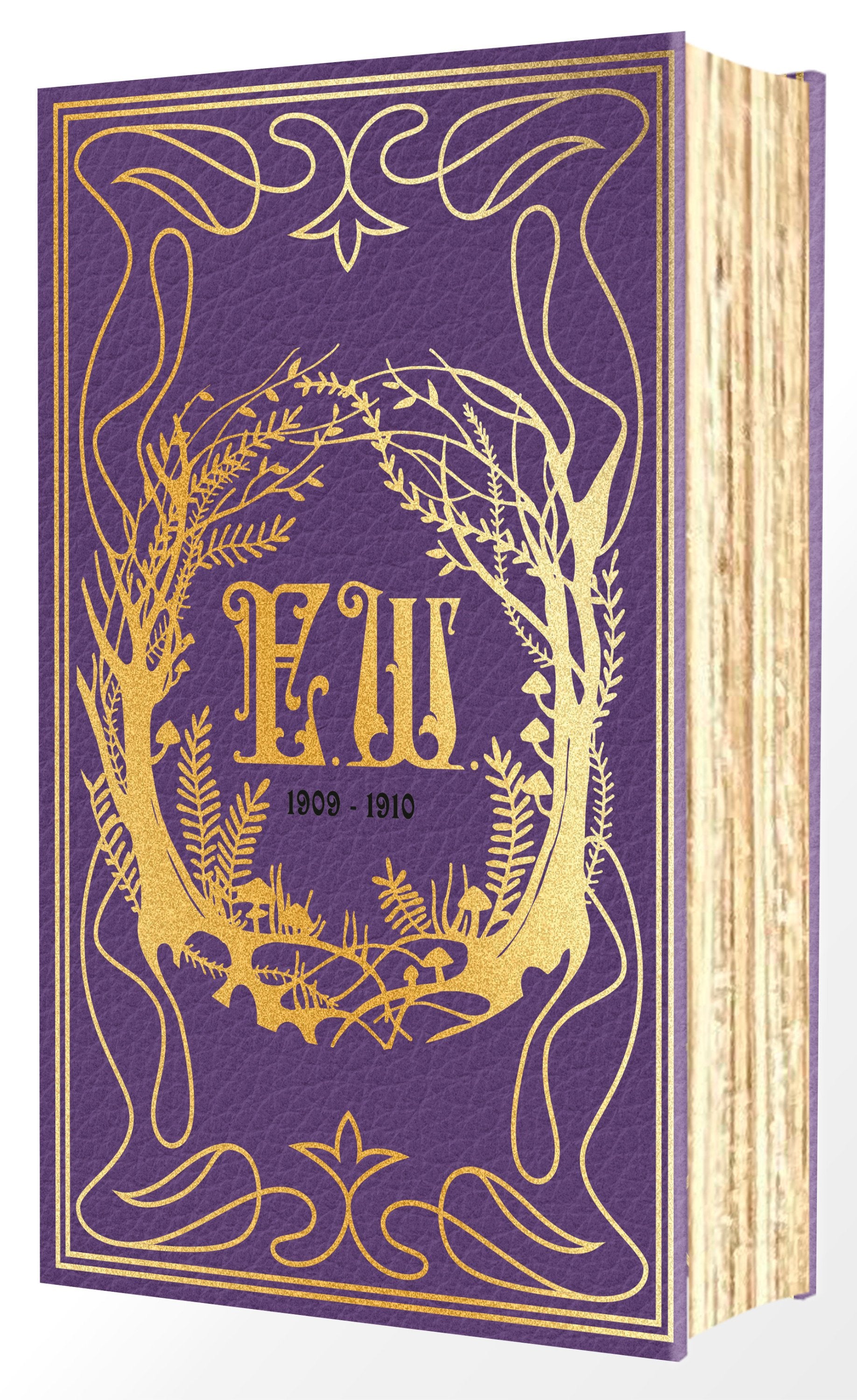 EMILY WILDES ENCYCLOPAEDIA OF FAERIES DELUXE EDITION