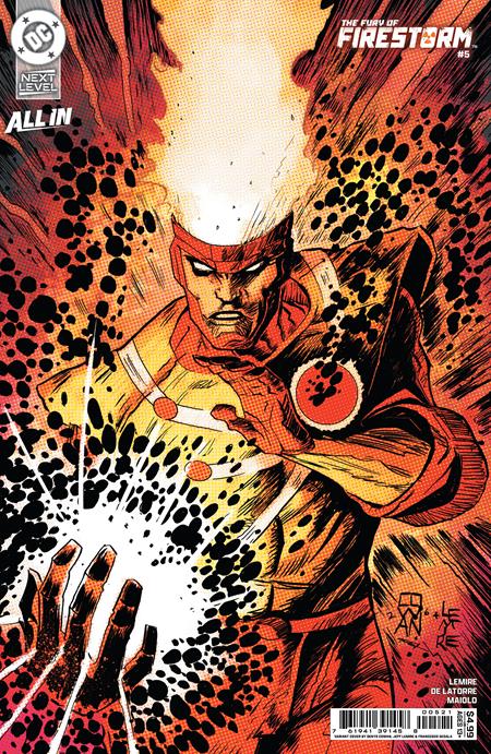 FURY OF FIRESTORM #5 CVR B DENYS COWAN & JEFF LEMIRE CARD STOCK VAR (OF 8)